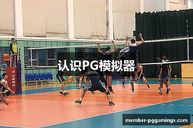 认识PG模拟器